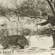 Illustration for article titled The early 1900s version of Photoshop involved lots of giant rabbits and corn